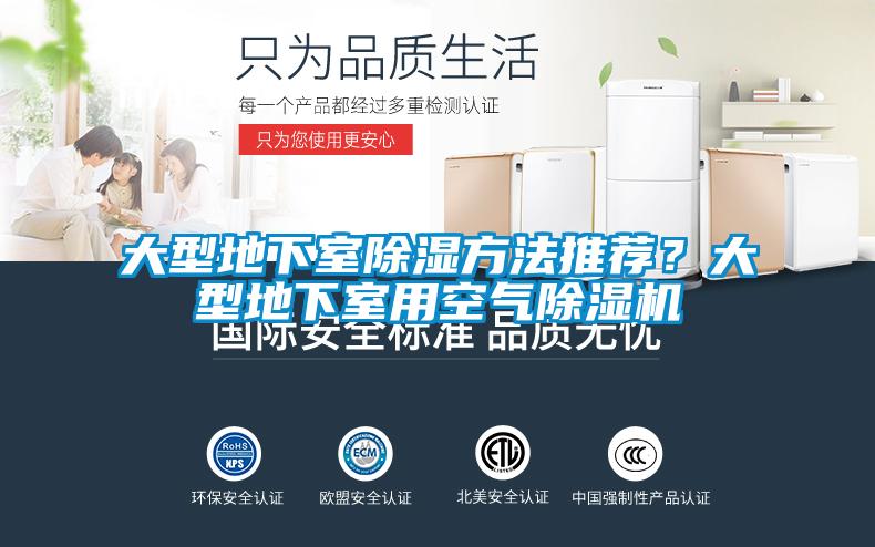 大型地下室91看片在线下载方法推薦？大型地下室用空氣91看片在线下载機