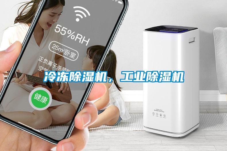 冷凍91看片在线下载機，工業91看片在线下载機
