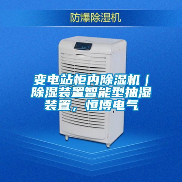 變電站櫃內91看片在线下载機｜91看片在线下载裝置智能型抽濕裝置，恒博電氣