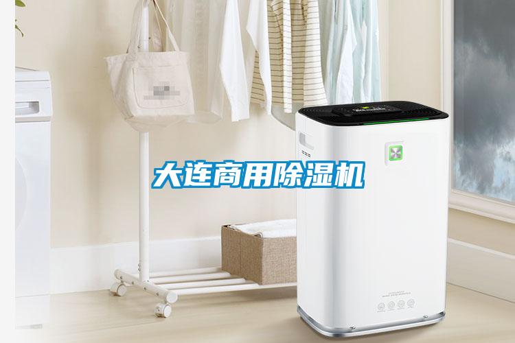 大連商用91看片在线下载機