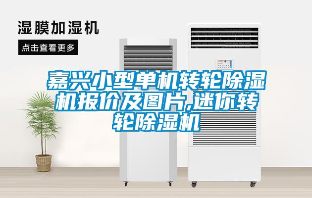 嘉興小型單機轉輪91看片在线下载機報價及圖片,迷你轉輪91看片在线下载機