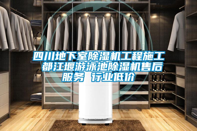 四川地下室91看片在线下载機工程施工 都江堰遊泳池91看片在线下载機售後服務 行業低價