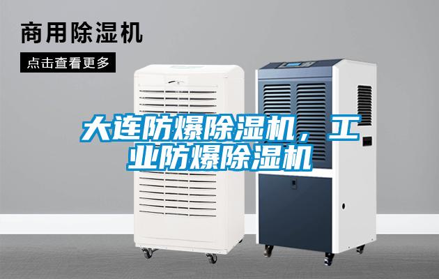 大連防爆91看片在线下载機，工業防爆91看片在线下载機