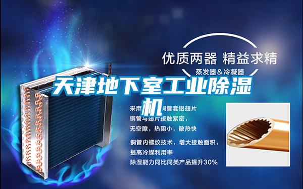 天津地下室工業91看片在线下载機