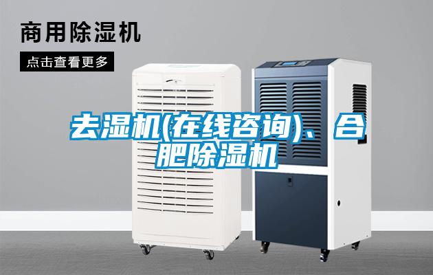 去濕機(在線谘詢)、合肥91看片在线下载機
