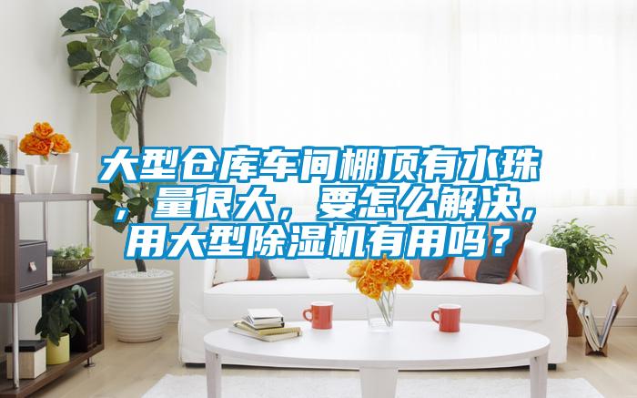 大型倉庫車間棚頂有水珠，量很大，要怎麽解決，用大型91看片在线下载機有用嗎？