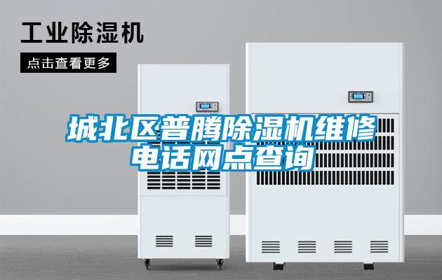 城北區普騰91看片在线下载機維修電話網點查詢