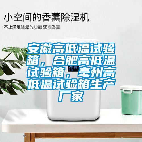 安徽高低溫試驗箱，合肥高低溫試驗箱，毫州高低溫試驗箱生產廠家