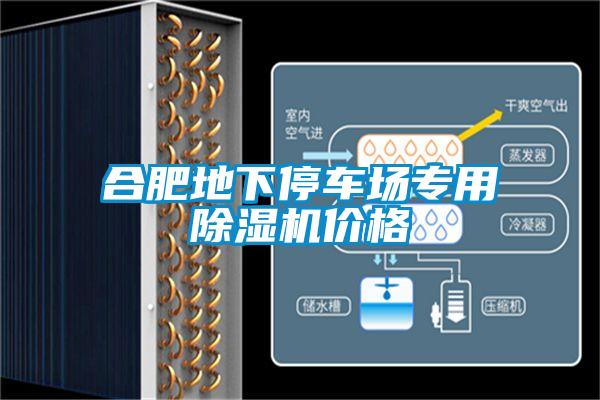 合肥地下停車場專用91看片在线下载機價格