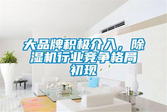 大品牌積極介入，91看片在线下载機行業競爭格局初現