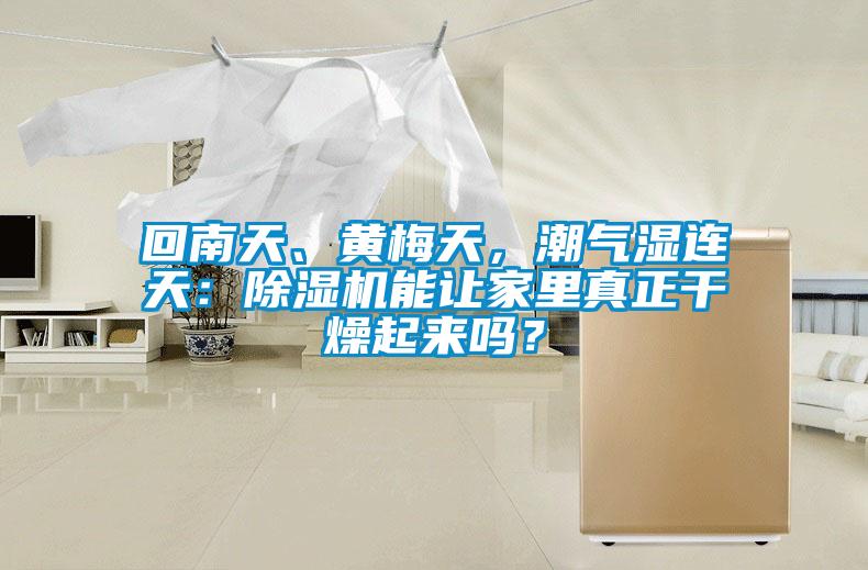 回南天、黃梅天，潮氣濕連天：91看片在线下载機能讓家裏真正幹燥起來嗎？