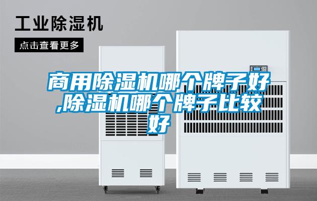 商用91看片在线下载機哪個牌子好,91看片在线下载機哪個牌子比較好