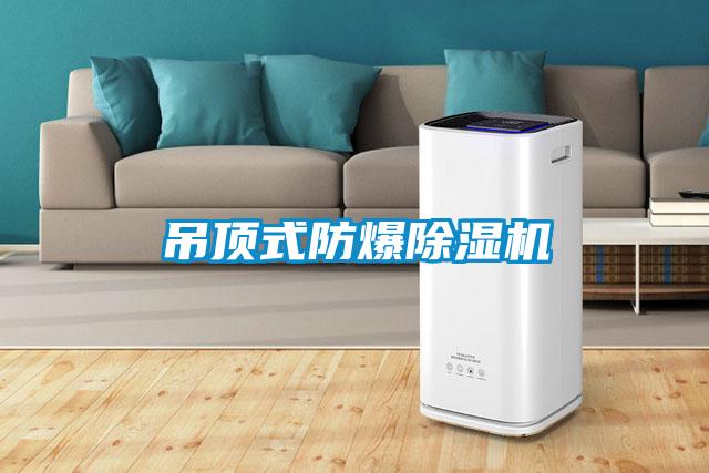 吊頂式防爆91看片在线下载機