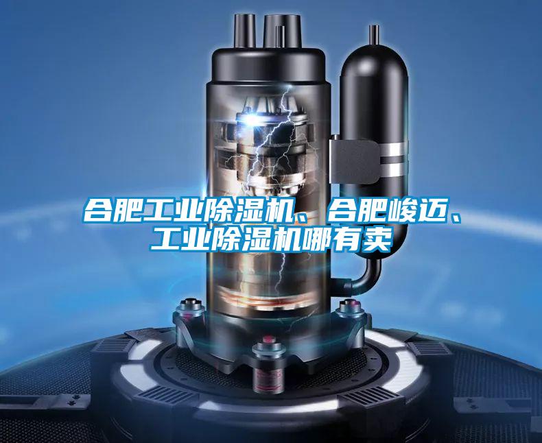 合肥工業91看片在线下载機、合肥峻邁、工業91看片在线下载機哪有賣