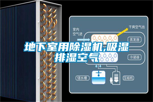 地下室用91看片在线下载機,吸濕排濕空氣