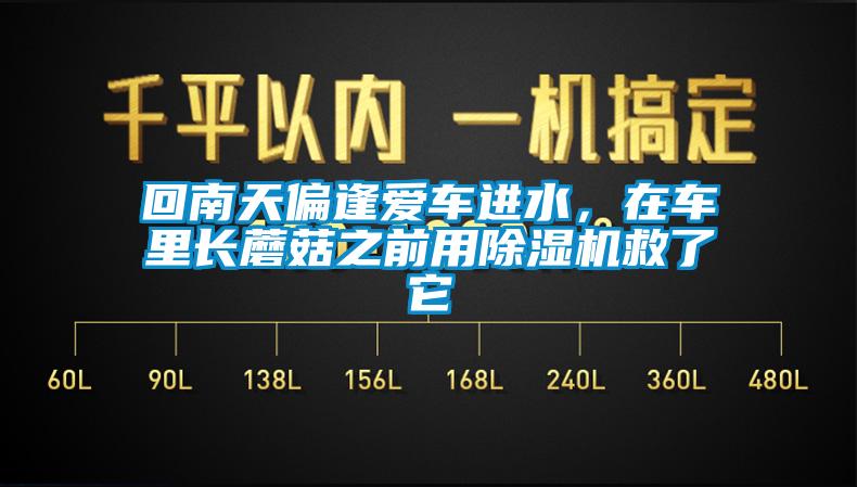 回南天偏逢愛車進水，在車裏長蘑菇之前用91看片在线下载機救了它