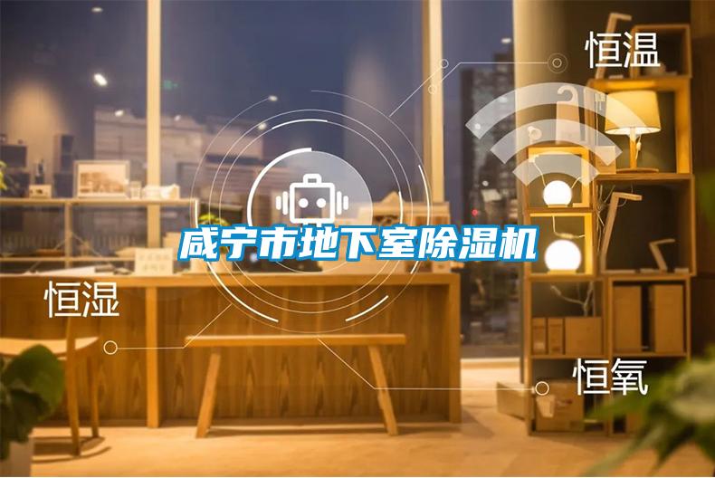 鹹寧市地下室91看片在线下载機