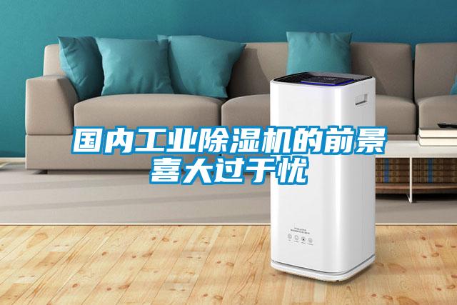 國內工業91看片在线下载機的前景喜大過於憂