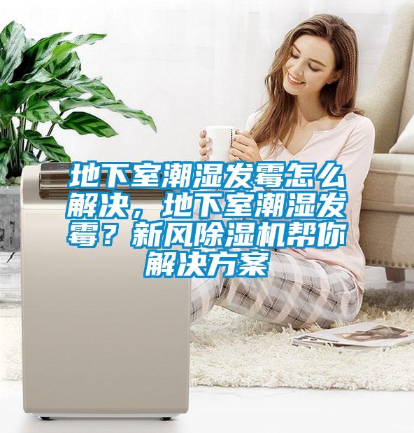 地下室潮濕發黴怎麽解決，地下室潮濕發黴？新風91看片在线下载機幫你解決免费看片下载