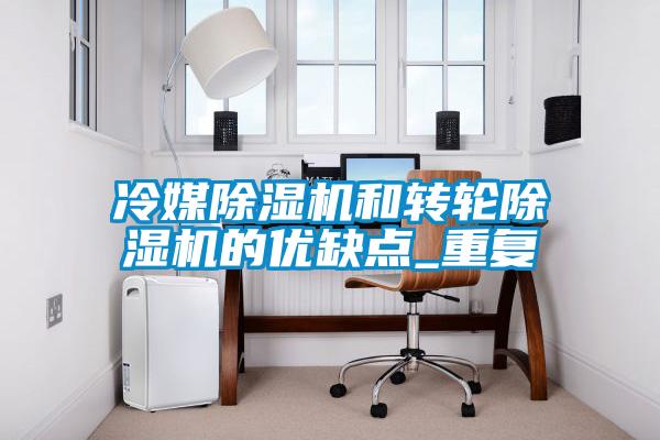 冷媒91看片在线下载機和轉輪91看片在线下载機的優缺點_重複