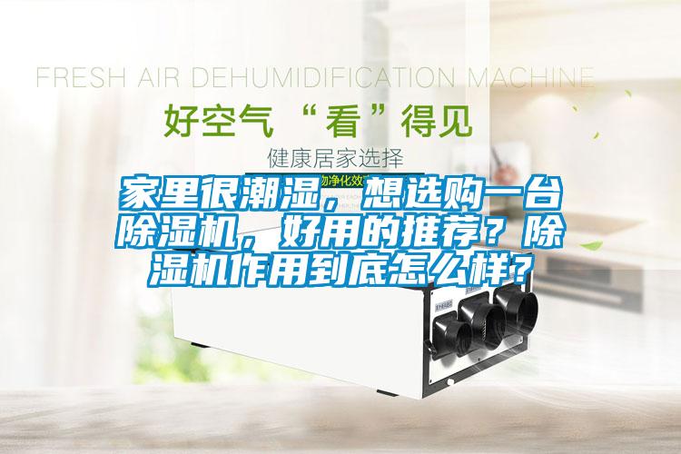 家裏很潮濕，想選購一台91看片在线下载機，好用的推薦？91看片在线下载機作用到底怎麽樣？