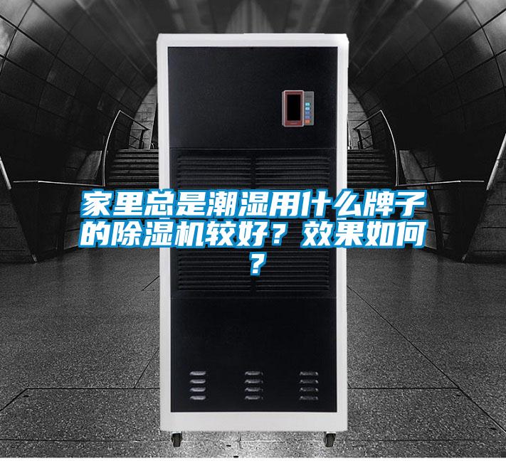 家裏總是潮濕用什麽牌子的91看片在线下载機較好？效果如何？