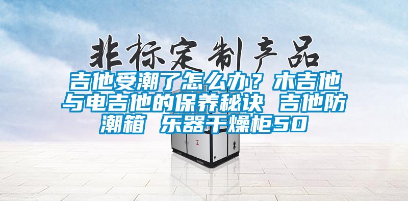 吉他受潮了怎麽辦？木吉他與電吉他的保養秘訣 吉他防潮箱 樂器幹燥櫃50
