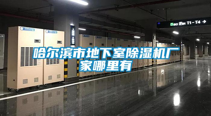 哈爾濱市地下室91看片在线下载機廠家哪裏有