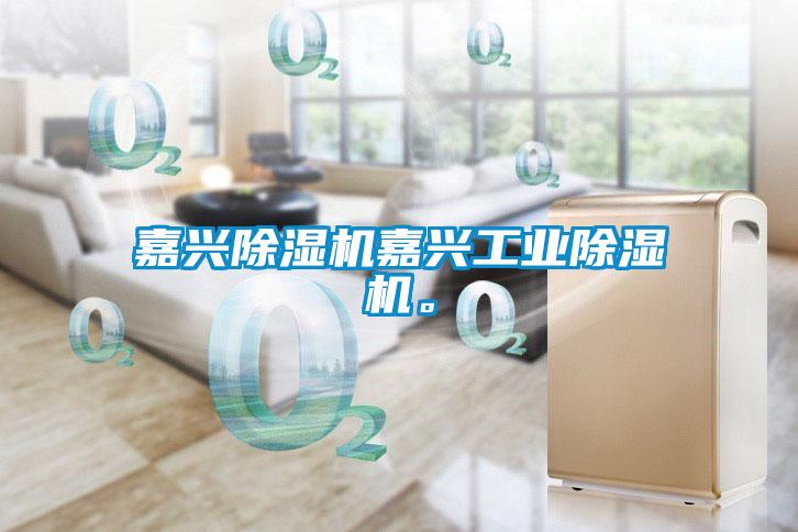 嘉興91看片在线下载機嘉興工業91看片在线下载機。
