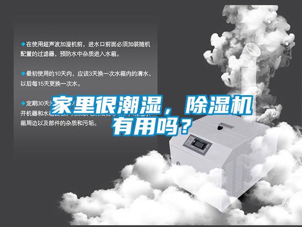 家裏很潮濕，91看片在线下载機有用嗎？
