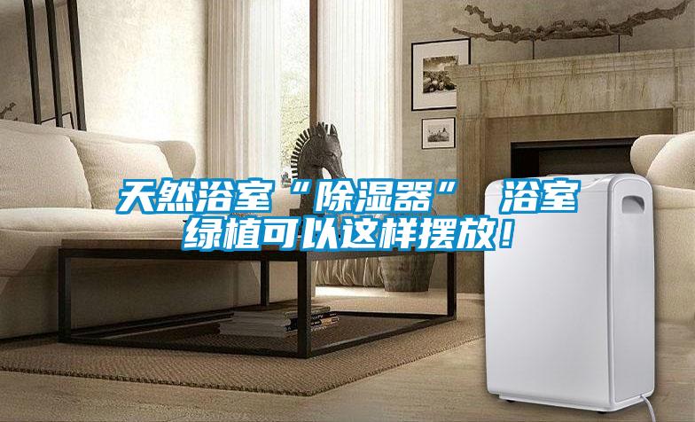 天然浴室“91看片在线下载器” 浴室綠植可以這樣擺放！