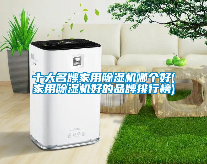 十大名牌家用91看片在线下载機哪個好(家用91看片在线下载機好的品牌排行榜)
