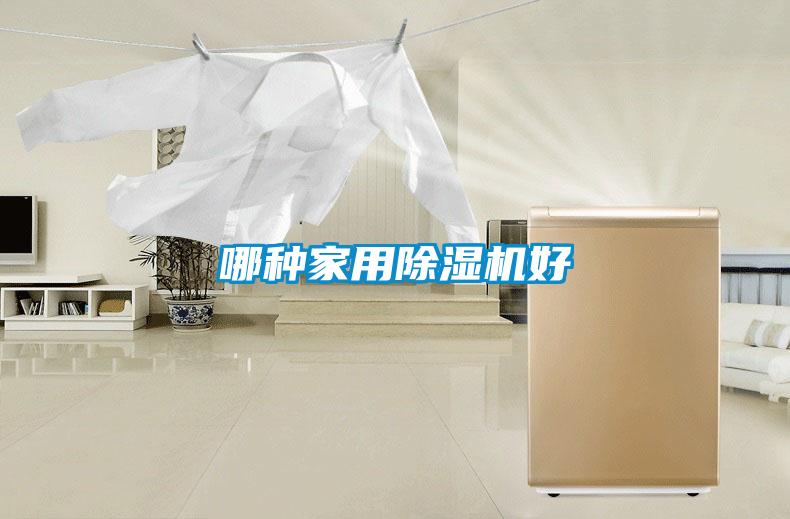 哪種家用91看片在线下载機好
