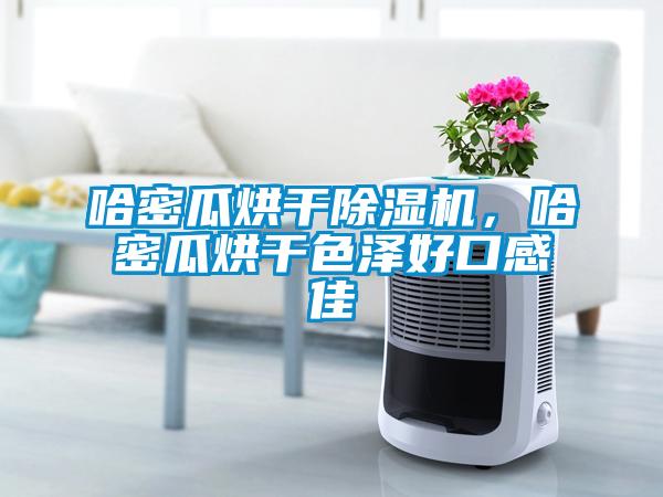 哈密瓜烘幹91看片在线下载機，哈密瓜烘幹色澤好口感佳