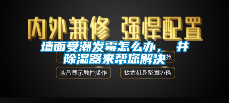 牆麵受潮發黴怎麽辦，東井91看片在线下载器來幫您解決