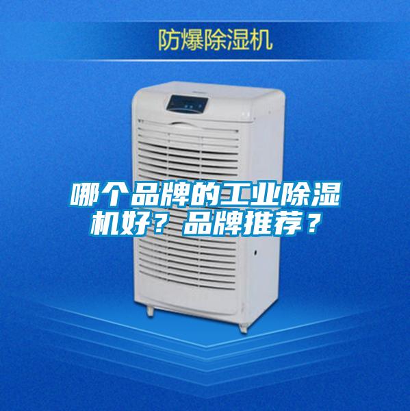 哪個品牌的工業91看片在线下载機好？品牌推薦？