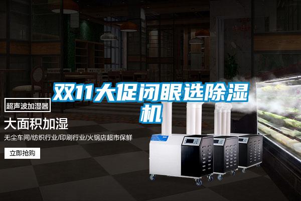 雙11大促閉眼選91看片在线下载機