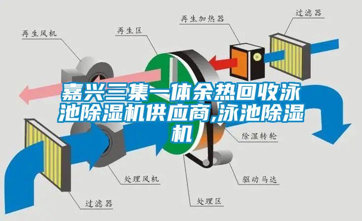 嘉興三集一體餘熱回收泳池91看片在线下载機供應商,泳池91看片在线下载機