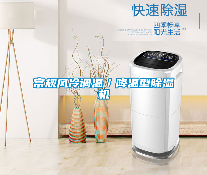 常規風冷調溫／降溫型91看片在线下载機