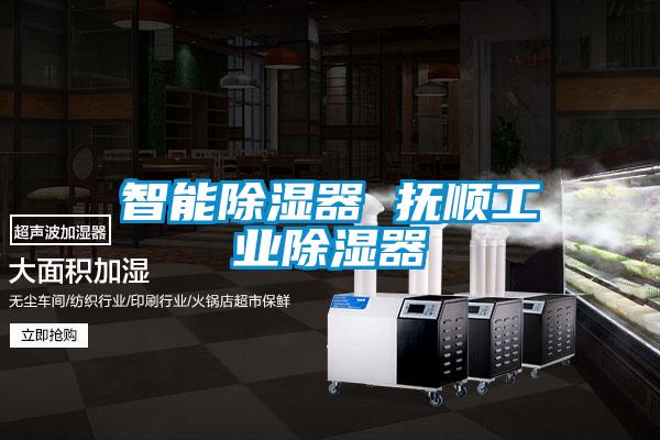 智能91看片在线下载器 撫順工業91看片在线下载器