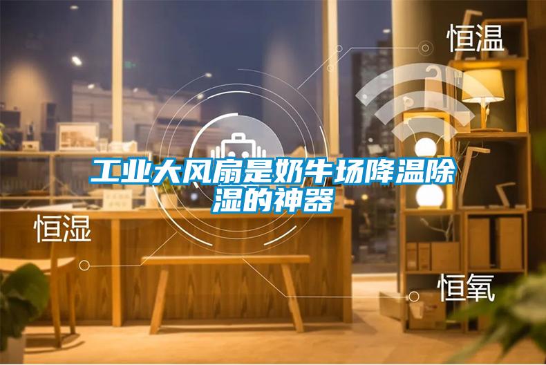 工業大風扇是奶牛場降溫91看片在线下载的神器