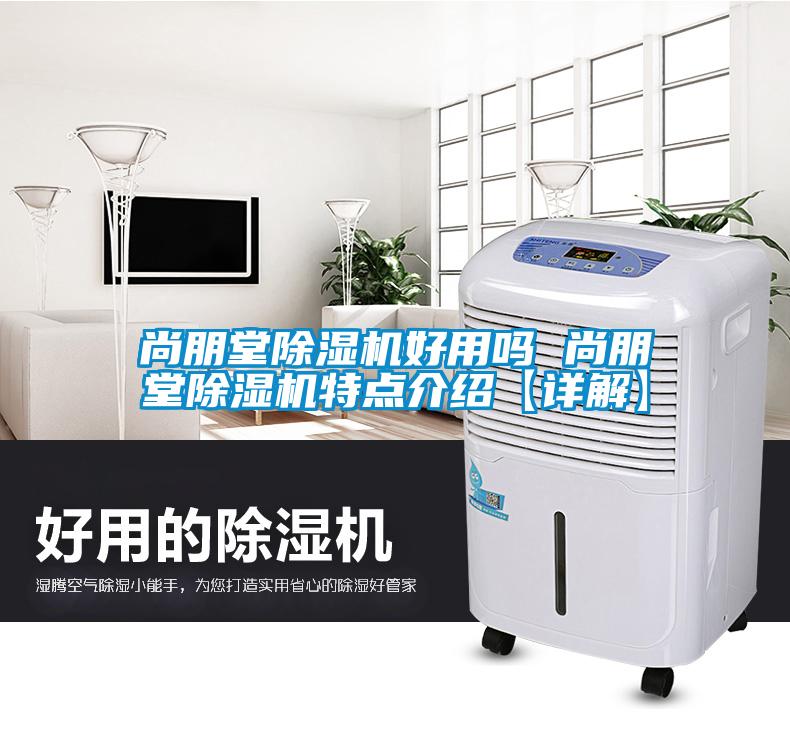 尚朋堂91看片在线下载機好用嗎 尚朋堂91看片在线下载機特點介紹【詳解】