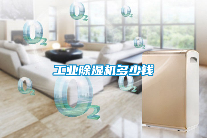 工業91看片在线下载機多少錢