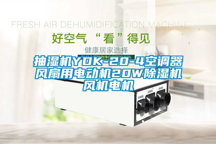 抽濕機YDK-20-4空調器風扇用電動機20W91看片在线下载機風機電機