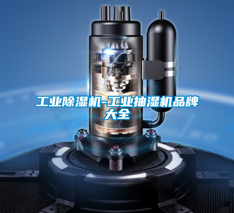 工業91看片在线下载機-工業抽濕機品牌大全
