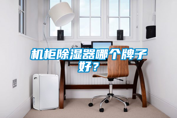 機櫃91看片在线下载器哪個牌子好？