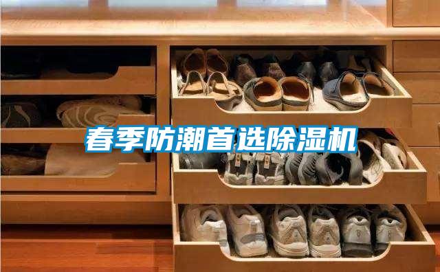 春季防潮首選91看片在线下载機
