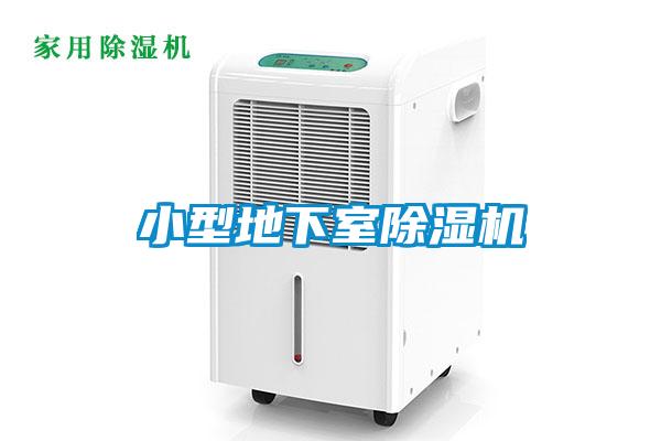 小型地下室91看片在线下载機