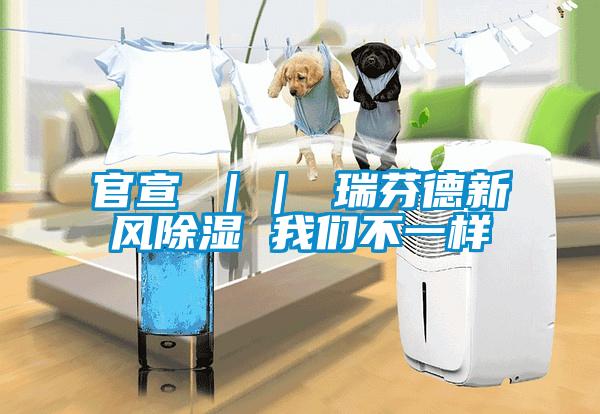 官宣 ｜｜ 瑞芬德新風91看片在线下载 91免费看片APP不一樣