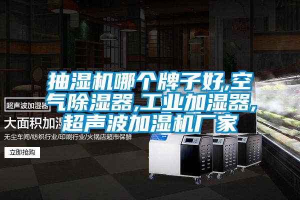 抽濕機哪個牌子好,空氣91看片在线下载器,工業加濕器,超聲波加濕機廠家